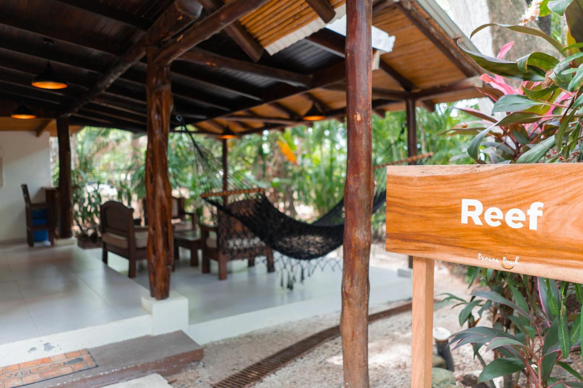 Banana Beach Bungalows Playa Santa Teresa  Kültér fotó