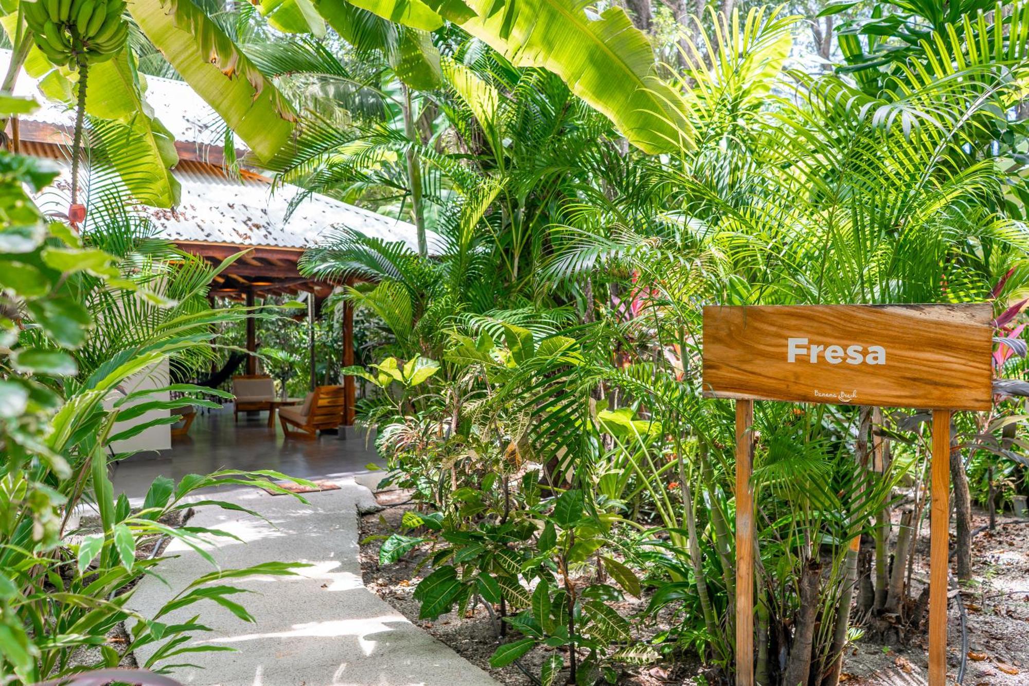 Banana Beach Bungalows Playa Santa Teresa  Kültér fotó